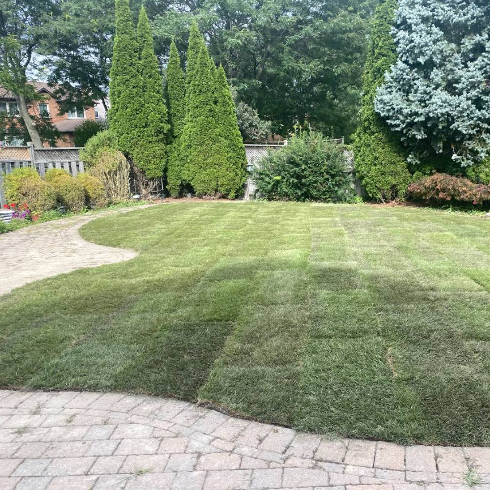 a garden with a large lawn surrounded by paving
