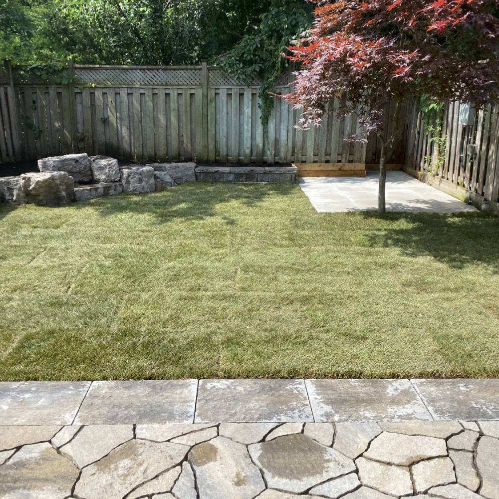 a newly laid lawn in a small garden