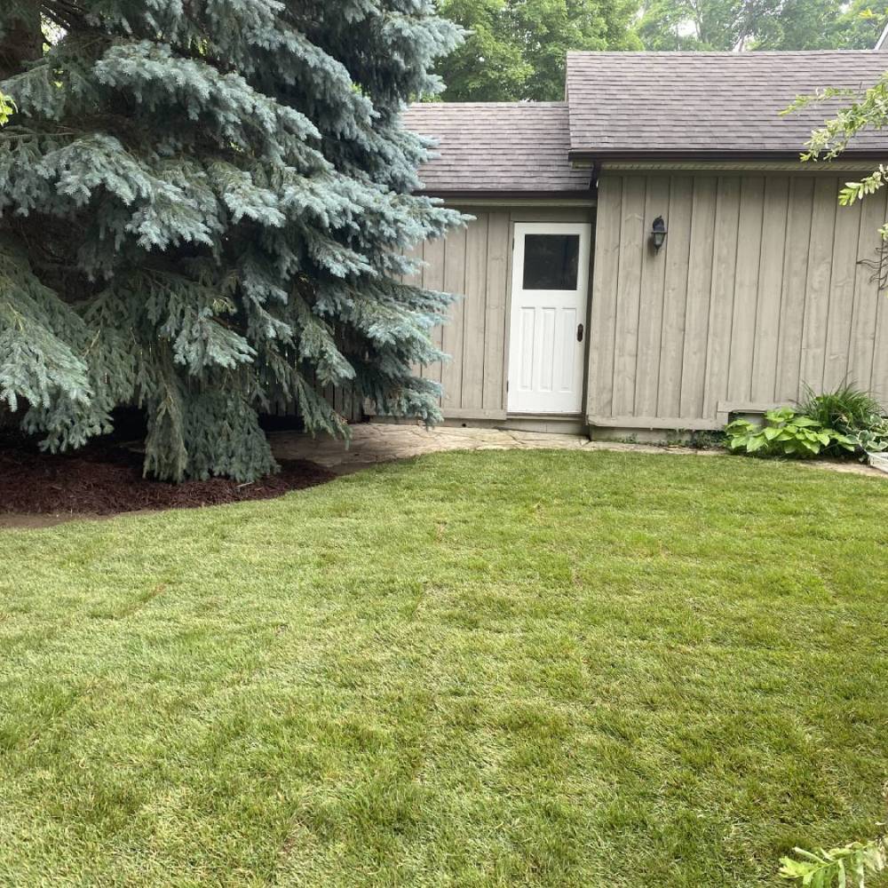 a lawn in front of a building