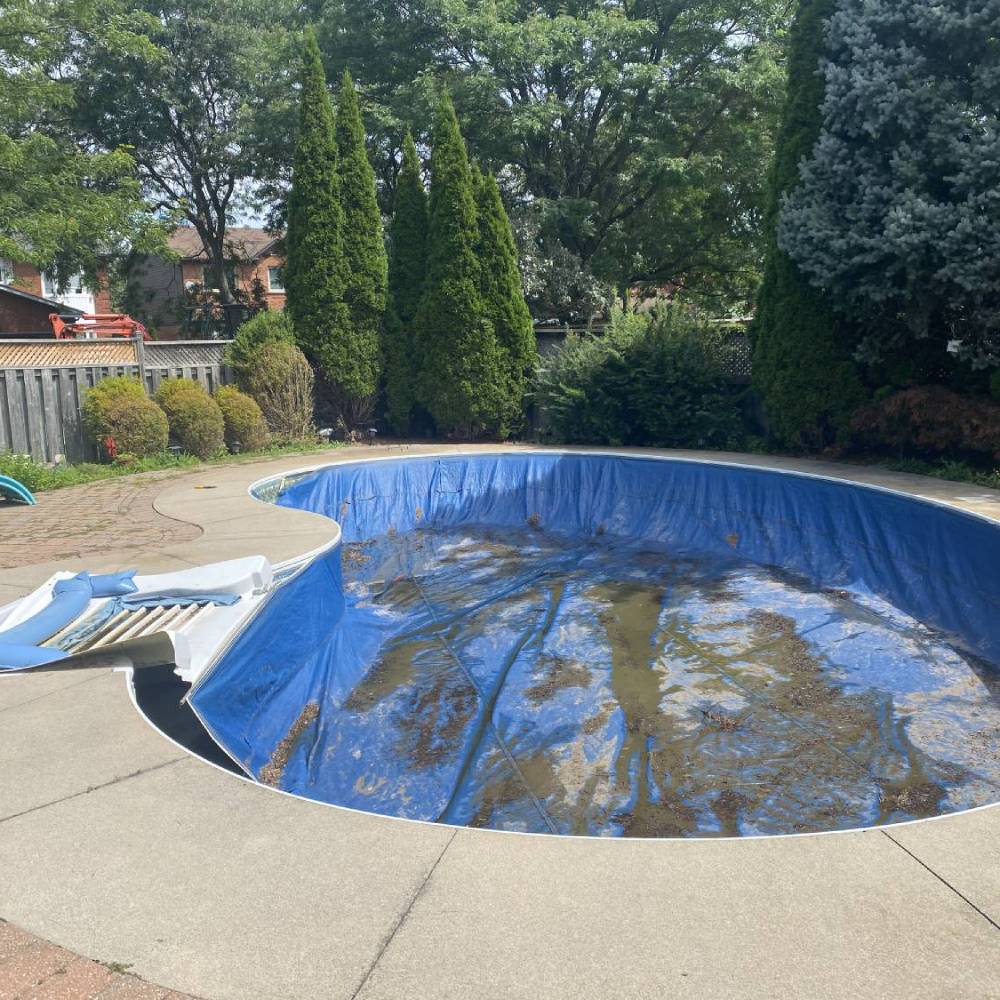 an empty pool in a garden