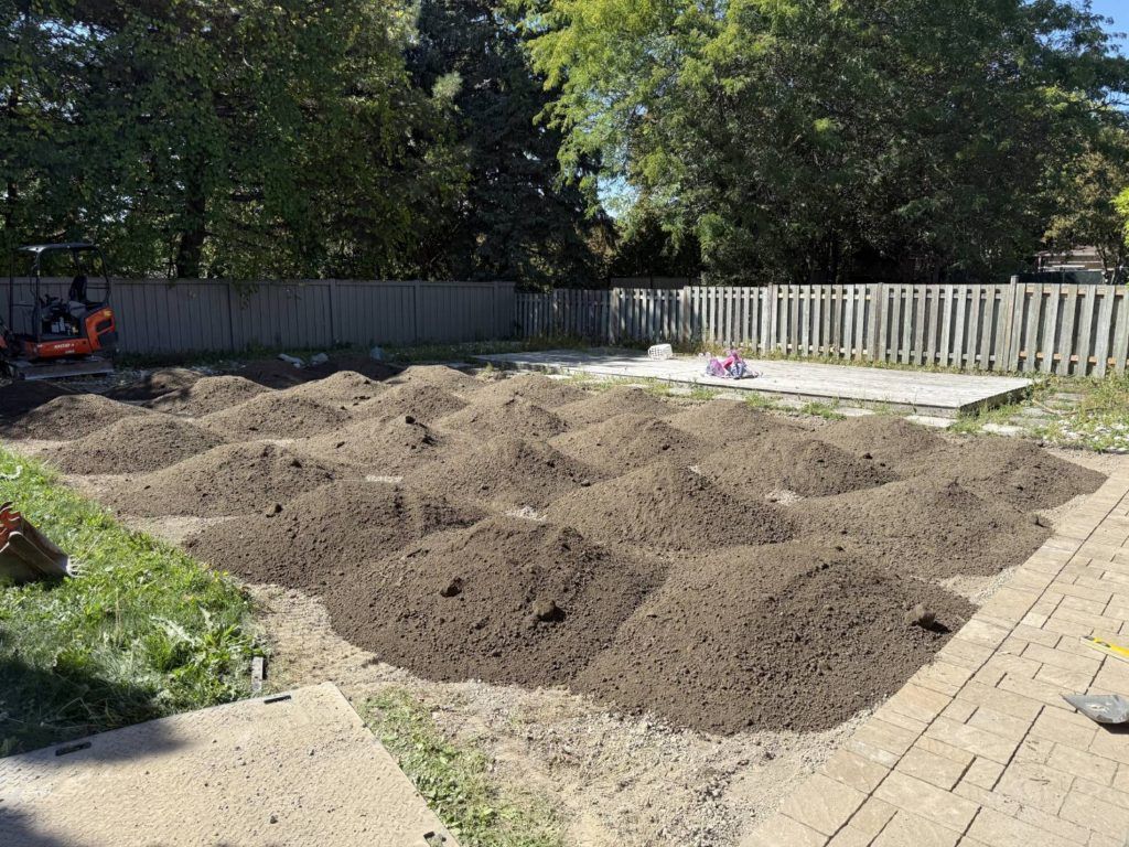 mounds of sand in a garden