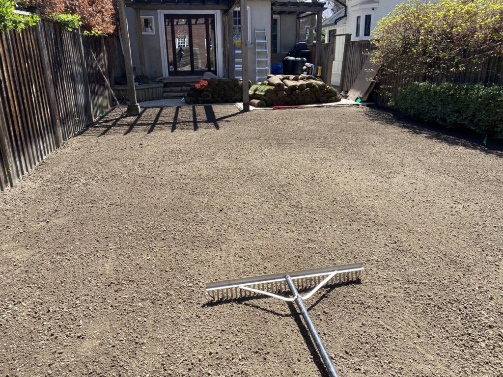 a large rake lying on a level sandy expanse