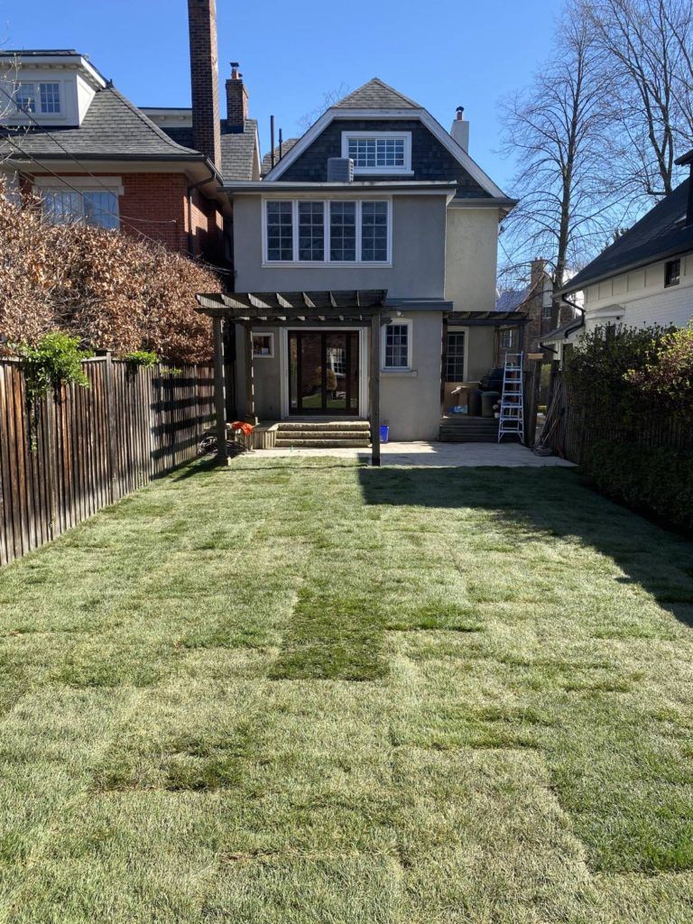 newly laid turf in a back garden