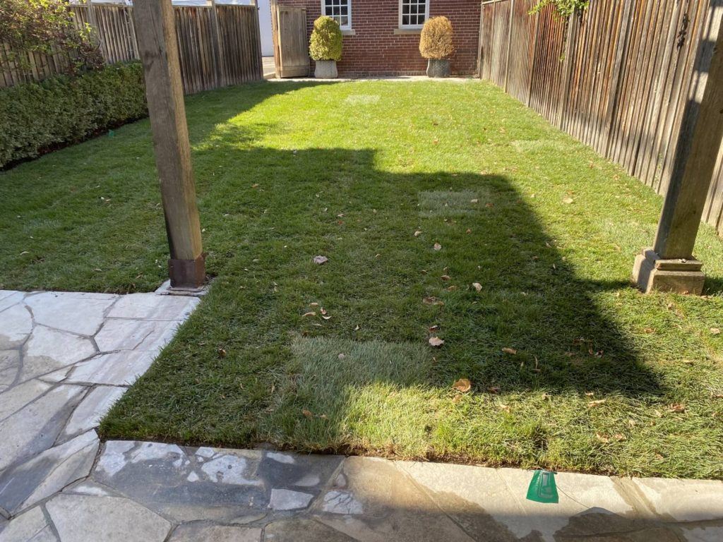 a back garden with a neat lawn